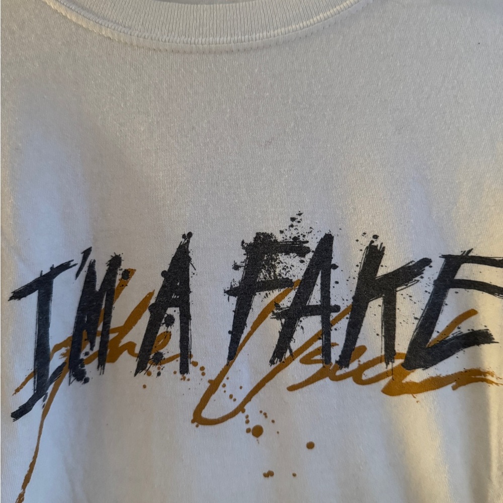 The Used band vintage shirt